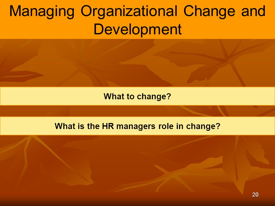 Functions & Practices of Human Resource Management